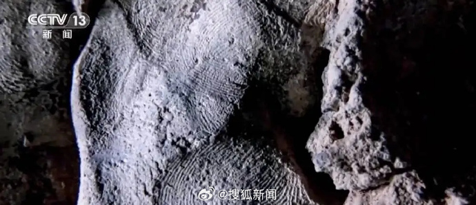 每日信息差-新闻早报-简报-【20250729】人生实难，死如之何
